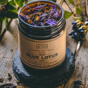 Blue Lotus